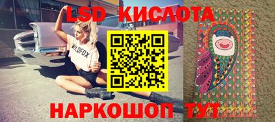 прущие грибы Железногорск