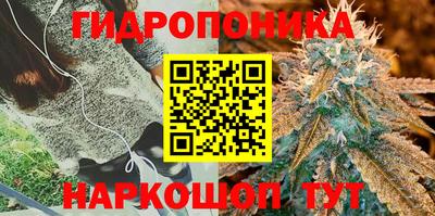 прущие грибы Железногорск