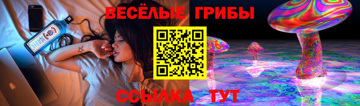 Галлюциногенные грибы MAGIC MUSHROOMS Вольск